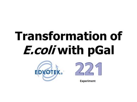 Transformation of E.coli with pGal. Exchange of Genetic Information in Bacteria 1.Transformation 2.Transduction 3.Conjugation.