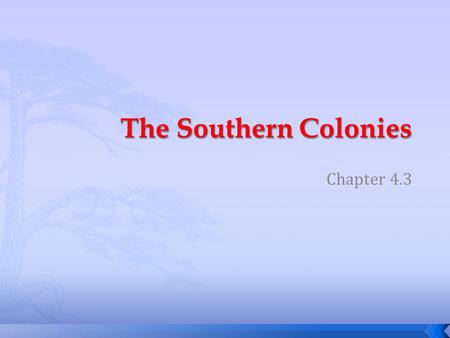 Chapter 4.3.  Why did the colony of New Netherlands become the colony of New York?  Why did New Jersey separate from New York  How was Pennsylvania.