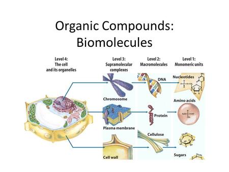 Organic Compounds: Biomolecules. I. Chemistry of Carbon A. Carbon has 4 valence e- B. Carbon can form 4 strong covalent bonds with atoms such as H, O,