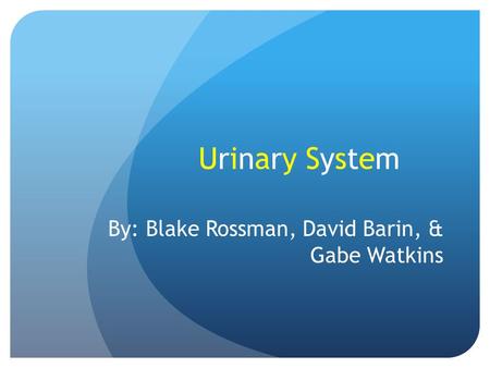 Urinary SystemUrinary System By: Blake Rossman, David Barin, & Gabe Watkins.