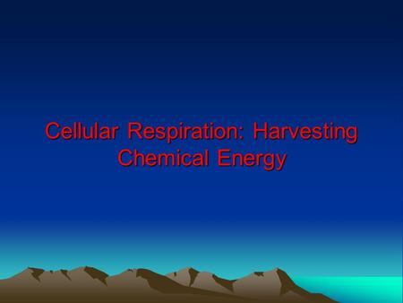 Cellular Respiration: Harvesting Chemical Energy.
