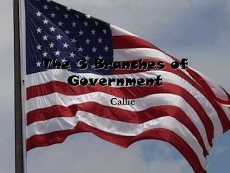 The 3 Branches of Government Callie. Enforces Laws.