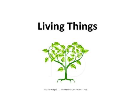 Living Things. Characteristics 1.Have cells 2.Sense and Respond 3.Reproduce 4.Have DNA 5.Use Energy 6.Grow and Develop.