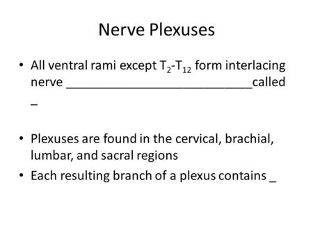 Nerve Plexuses All ventral rami except T 2 -T 12 form interlacing nerve ___________________________called _ Plexuses are found in the cervical, brachial,