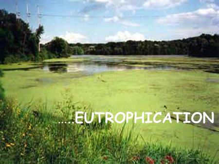 …..EUTROPHICATION. When lakes, streams and estuaries are over fertilized, excessive production of aquatic organic matter can become a water quality problem.