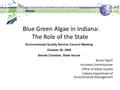 Blue Green Algae in Indiana: The Role of the State Bruno Pigott Assistant Commissioner Office of Water Quality Indiana Department of Environmental Management.
