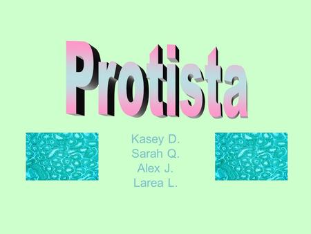 Kasey D. Sarah Q. Alex J. Larea L.. General Information ~ commonly called protists. ~ eukaryotes -Have cells with a nucleus ~ eukaryotes evolved from.