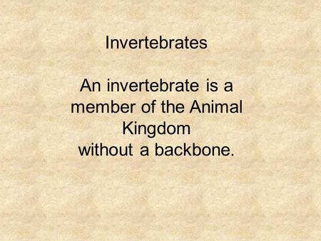 Invertebrates An invertebrate is a member of the Animal Kingdom without a backbone.