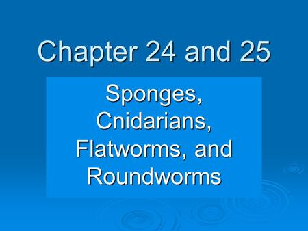 Chapter 24 and 25 Sponges, Cnidarians, Flatworms, and Roundworms.