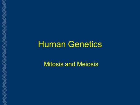 Human Genetics Mitosis and Meiosis. Chromosomes and Cell Division  How are Chromosomes replicated?  Cell Division:  Why are there two types: mitosis.