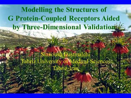 By Siavoush Dastmalchi Tabriz University of Medical Sciences Tabriz-Iran Modelling the Structures of G Protein-Coupled Receptors Aided by Three-Dimensional.