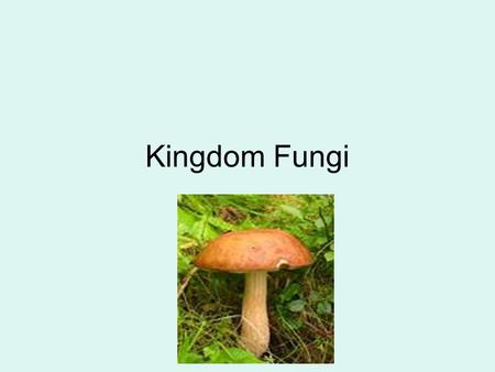 Kingdom Fungi. Characteristics of Fungi –Fungi are eukaryotic heterotrophs that have cell walls. –Their cell walls contain chitin, a complex carbohydrate.