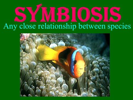 Symbiosis Any close relationship between species.
