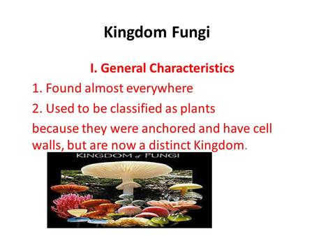 Kingdom Fungi I. General Characteristics 1. Found almost everywhere 2. Used to be classified as plants because they were anchored and have cell walls,