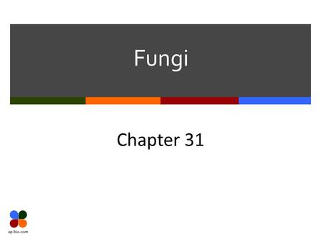 Fungi Chapter 31. Slide 2 of 15 Fungal Commonalities  Heterotrophic & Eukaryotic  Multicellular  Important in the ecosystem as decomposers  Cell walls.