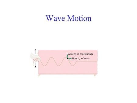 Wave Motion. Conceptual Example: Wave and Particle Velocity Is the velocity of a wave moving along a cord the same as the velocity of a particle of a.