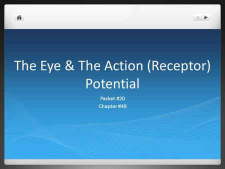 The Eye & The Action (Receptor) Potential Packet #20 Chapter #49.