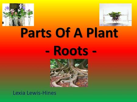 Parts Of A Plant - Roots - Lexia Lewis-Hines The student will learn: to tell the main functions of a root. to identify place where roots can grow. to.