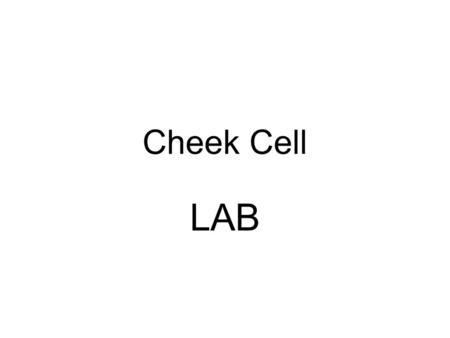 Cheek Cell LAB.