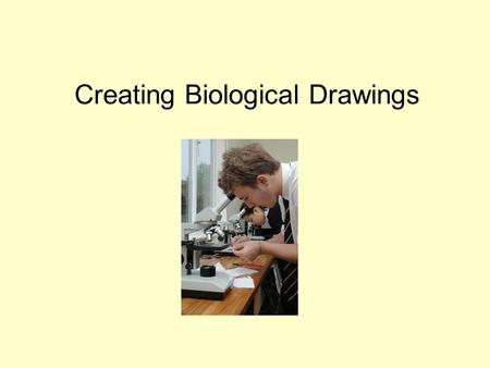 Creating Biological Drawings