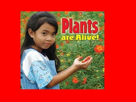 Plants are alive. Plants can move but very slowly.