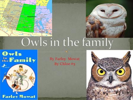By Farley Mowat By Chloe #5. One spring Morning two boys named Billy and Bruce went out in the fields. They where trying To find owls to keep as a pet.poplar.