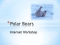* 1. What did the polar bear eat? * Do Polar Bears live alone or in families? * What do Polar Bears need in order to hunt for seals? * Are Polar Bears.