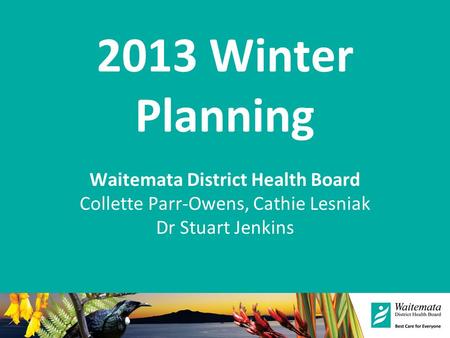 2013 Winter Planning Waitemata District Health Board Collette Parr-Owens, Cathie Lesniak Dr Stuart Jenkins.