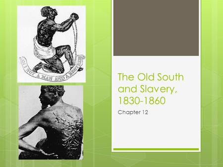 The Old South and Slavery, 1830-1860 Chapter 12. Cash Crops  Cotton is King  The British Textile Industry  The Cotton Gin  The Removal of Indians.