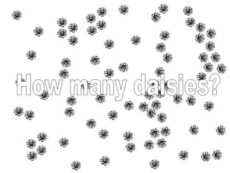 How did you estimate the number of daisies? Did you try to count them all? Or did you use another method? See if this will help…