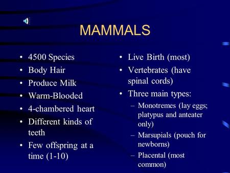 MAMMALS 4500 Species Body Hair Produce Milk Warm-Blooded 4-chambered heart Different kinds of teeth Few offspring at a time (1-10) Live Birth (most) Vertebrates.