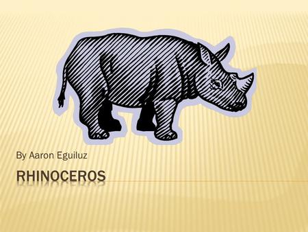 By Aaron Eguiluz.  Rhinoceroses belongs to the mammal group  Mammals get milk from their mother.  They have fur.