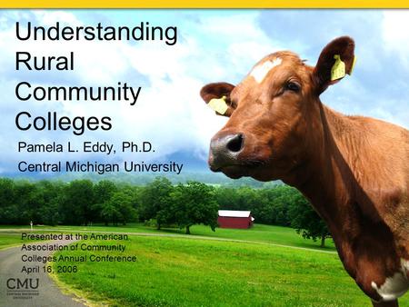 Understanding Rural Community Colleges Pamela L. Eddy, Ph.D. Central Michigan University Presented at the American Association of Community Colleges Annual.