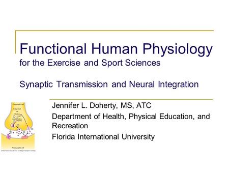 Functional Human Physiology for the Exercise and Sport Sciences Synaptic Transmission and Neural Integration Jennifer L. Doherty, MS, ATC Department of.