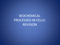 BIOCHEMICAL PROCESSED IN CELLS: REVISION. Exam revision – what should I be doing??? Whole exam papers under exam conditions (preferably at 9-10.45am)