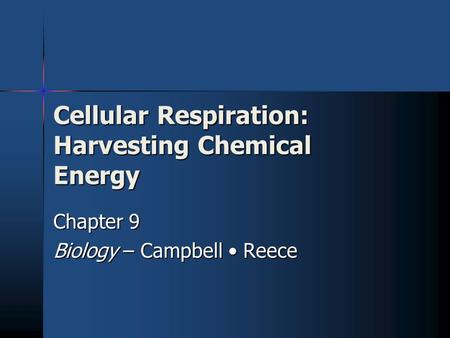 Cellular Respiration: Harvesting Chemical Energy Chapter 9 Biology – Campbell Reece.