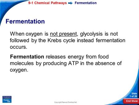 End Show Slide 1 of 39 9-1 Chemical Pathways Copyright Pearson Prentice Hall Fermentation When oxygen is not present, glycolysis is not followed by the.