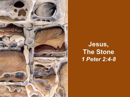 Jesus, The Stone 1 Peter 2:4-8. Introductory Thoughts Christ is referred to as many things throughout the Scriptures. In our text Peter ties several passages.