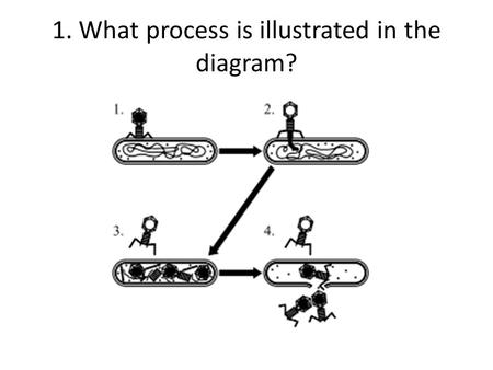 1. What process is illustrated in the diagram?