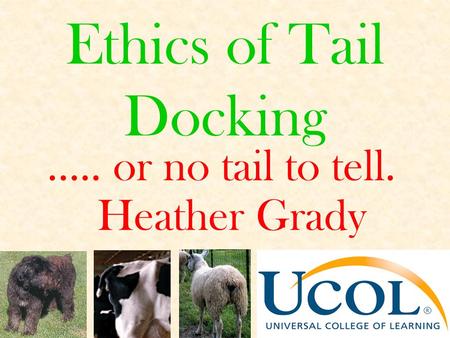 Ethics of Tail Docking ….. or no tail to tell. Heather Grady.