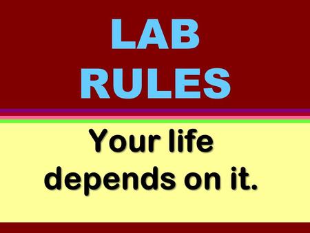 LAB RULES Your life depends on it. Rule # 1 Wear safety goggles at all times.