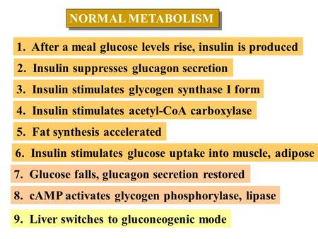 NORMAL METABOLISM NORMAL METABOLISM 1. After a meal glucose levels rise, insulin is produced 2. Insulin suppresses glucagon secretion 3. Insulin stimulates.