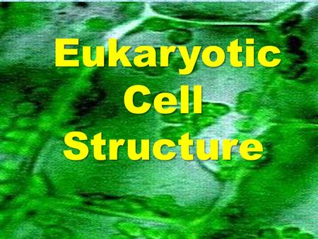 Eukaryotic Cell Structure Eukaryotic Cell Structure.