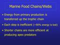 Marine Food Chains/Webs Energy from primary production is transferred up the trophic chain Each step is inefficient (~90% energy is lost) Shorter chains.
