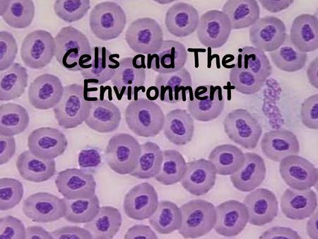 Cells and Their Environment. Cell membranes – function to communicate between neighboring cells. They also serve as a selectively permeable barrier. It.