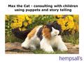 Max the Cat - consulting with children using puppets and story telling.