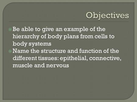 Be able to give an example of the hierarchy of body plans from cells to body systems  Name the structure and function of the different tissues: epithelial,