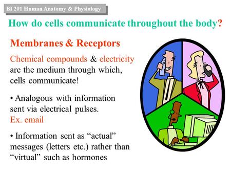 Membranes & Receptors Chemical compounds & electricity are the medium through which, cells communicate! Analogous with information sent via electrical.
