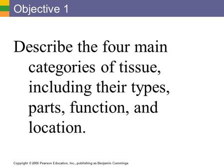 Copyright © 2006 Pearson Education, Inc., publishing as Benjamin Cummings Objective 1 Describe the four main categories of tissue, including their types,