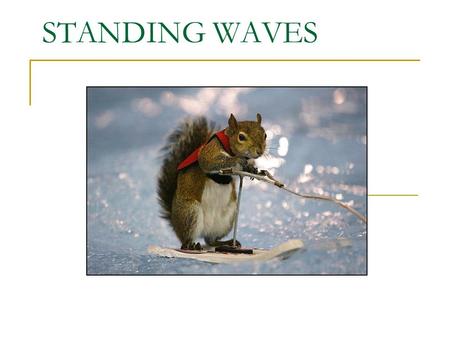 STANDING WAVES. Standing Waves - appear to be ‘standing’ still in their left to right motion - in constant position.